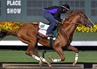 California Chrome worked 6 furlongs in 1:13 1/5 at Los Alamitos Race Course on Sept. 17.
