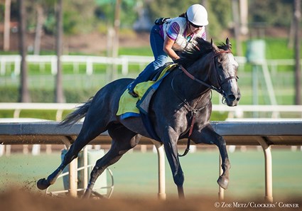 Arrogate - Santa Anita, September 10, 2016