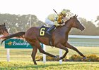 Lull won the Kentucky Downs Juvenile Fillies Stakes on Sept. 3