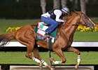 California Chrome works Sept. 24 at Los Alamitos Race Course