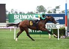 Ticonderoga breaking his maiden last September at Belmont Park