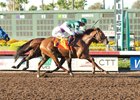 Three Stakes Highlight Los Alamitos Summer Meet Three Stakes Highlight Los Alamitos Summer Meet