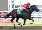 Noholdingback Bear stays focused to the wire in Gallant Bob Stakes.