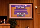 Ferguson to $900,000 for War Front Filly Ferguson to $900,000 for War Front Filly