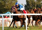 Successful Native wins the 2016 Kentucky Downs Turf Sprint