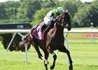 Clement, Brown Pair Off in Noble Damsel Clement, Brown Pair Off in Noble Damsel