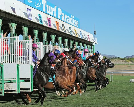 Turf Paradise Race Track