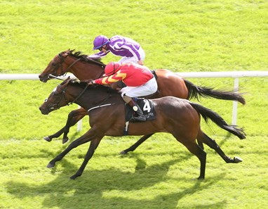 Intricately (IRE), red silks, wins the Moyglare Stud Stakes, defeating Beggy, purple silks, at the Curragh Sept. 11, 2016.