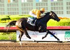 Bendable wins the Beverly J. Lewis Stakes.