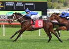 Winx wins 2016 George Main Stakes for 11th successive victory and seventh group I triumph