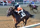 Unbeaten Lucy N Ethel Leads Way in Prioress Unbeaten Lucy N Ethel Leads Way in Prioress