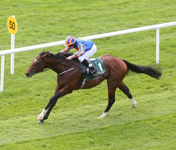Churchill (IRE) wins the Goffs Vincent O'Brien National Stakes Sun. Sept. 11, 2016