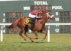 Lady Shipman, ridden by Joel Rosario, won the $200,000 Turf Amazon Stakes at Parx Racing in Bensalem, Pennsylvania on Sept. 5, 2016.