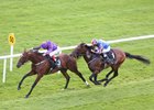 Wicklow Brave wins the 2016 Irish St. Leger