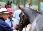 Brisk Activity in Advance of Keeneland Sale Brisk Activity in Advance of Keeneland Sale