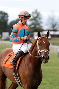 Da Big Hoss wins the 2016 Calumet Farm Kentucky Turf Cup