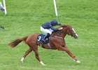 Alice Springs wins the 2016 Coolmore Fastnet Rock Matron Stakes