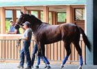 Songbird schools Sept. 20 in the Parx Racing paddock. The filly will have Eva Cassidy's family members cheering her Saturday.