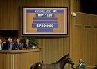 Hip 1320, a colt by Uncle Mo, brought $750,000