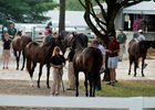 Buyers at the Keeneland September Sale