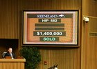 Pope Acquires Two Seven-Figure Tapit Fillies Pope Acquires Two Seven-Figure Tapit Fillies
