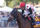 Awesome Slew wins the Marty Jones Stakes.