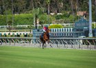 The first work over Santa Anita's new turf course.