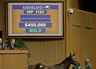 Uncle Mo Filly Most Profitable at Keeneland Uncle Mo Filly Most Profitable at Keeneland