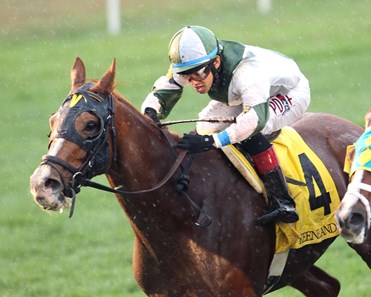 Renown wins the 2016 Sycamore Stakes.