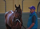 Masochistic Schooling at Santa Anita.