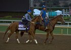 Gun Runner Works, Likely in Dirt Mile Gun Runner Works, Likely in Dirt Mile