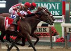 Practical Joke (#1) gets his head in front at the wire in the Champagne<br><a target="blank" href="http://photos.bloodhorse.com/AtTheRaces-1/At-the-Races-2016/i-rMSxNh5">Order This Photo</a>