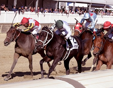 Item (#2) wins the Maryland Million Lassie Stakes at Laurel Park on October 22, 2016.
