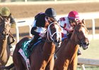 I'm a Chatterbox will make her seasonal debut in the Houston Ladies.