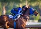 Grand Glory's first foal is L.A. Woman Stakes (gr. III) winner Gloryzapper