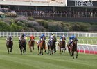Winx Easily Wins Second Straight Cox Plate Winx Easily Wins Second Straight Cox Plate