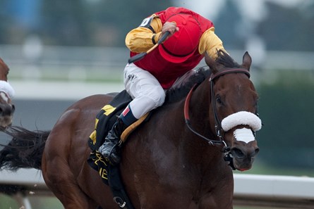 Southern Ring wins the 2016 Ontario Fashion Stakes