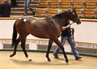 A son of Kodiac brought 200,000 guineas Oct. 13
