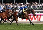 La Romain takes the group 1 Cantala Stakes in October at Flemington