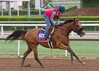 Masochistic worked five furlongs from the gate in 1:00