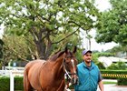 Masochistic schools in the paddock at Santa Anita prior to his Breeders' Cup bid
