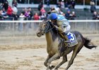 Joking wins the Vosburgh Stakes