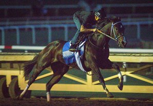 Trio of Champions Set for Distaff Clash