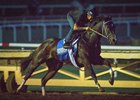 Songbird will try older rivals in the Breeders' Cup Distaff.