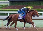 Accelerate on Fast Track for Dirt Mile Accelerate on Fast Track for Dirt Mile