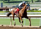 California Chrome secured a second Horse of the Year title Jan. 21.