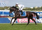 Vancouver to Shuttle to Ashford Stud Vancouver to Shuttle to Ashford Stud