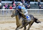 BC-Bound Joking 'Bouncing in His Stall' BC-Bound Joking 'Bouncing in His Stall'