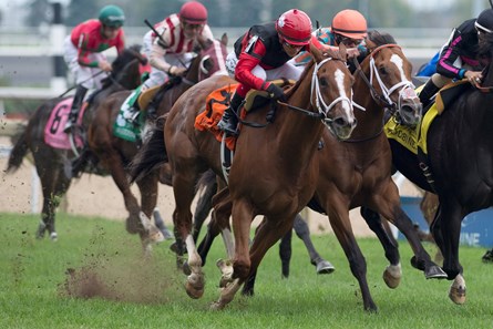 Calgary Cat wins the 2016 Nearctic Stakes at Woodbine.
