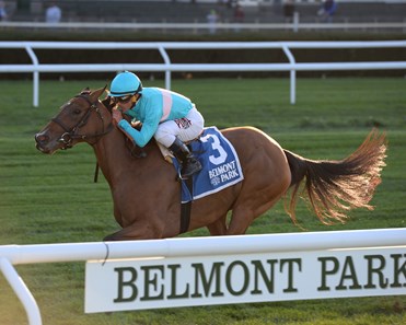 Roca Rojo Wins 2016 Athenia Stakes